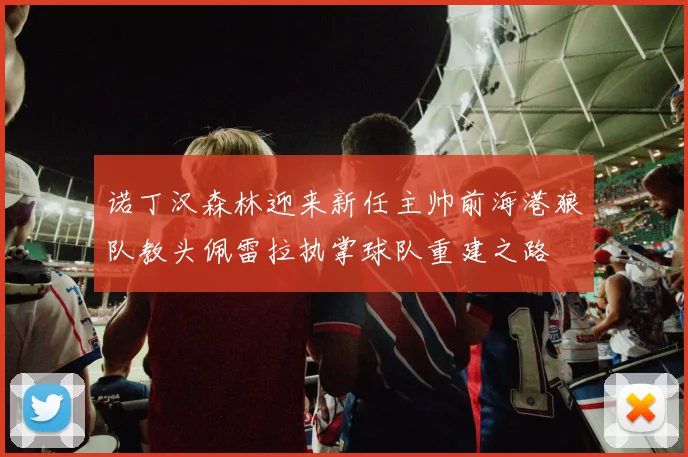 诺丁汉森林迎来新任主帅前海港狼队教头佩雷拉执掌球队重建之路