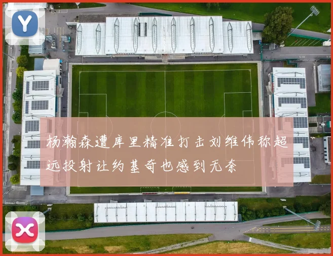 杨瀚森遭库里精准打击刘维伟称超远投射让约基奇也感到无奈